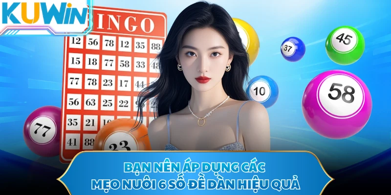 Bạn nên áp dụng các mẹo nuôi 6 số đề dàn hiệu quả