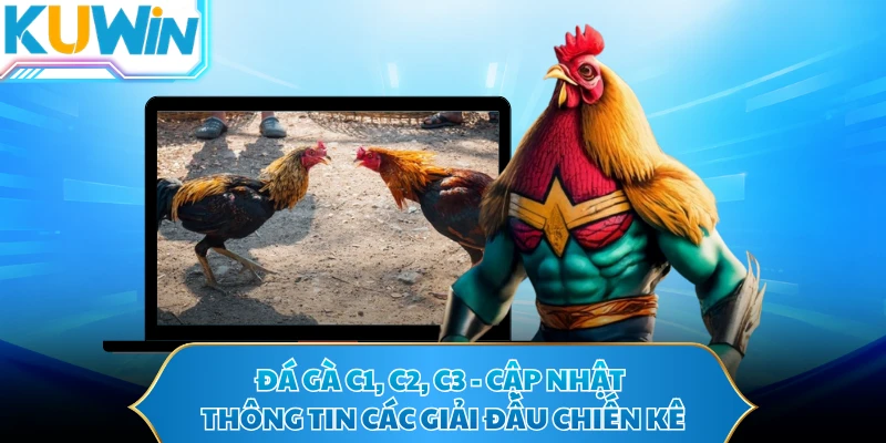 Đá Gà C1, C2, C3 - Cập Nhật Thông Tin Các Giải Đấu Chiến Kê